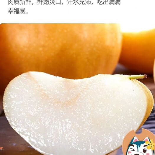 都匀市 山东烟台莱阳丰水梨应季水果梨子新鲜包邮脆梨雪梨秋月梨当季