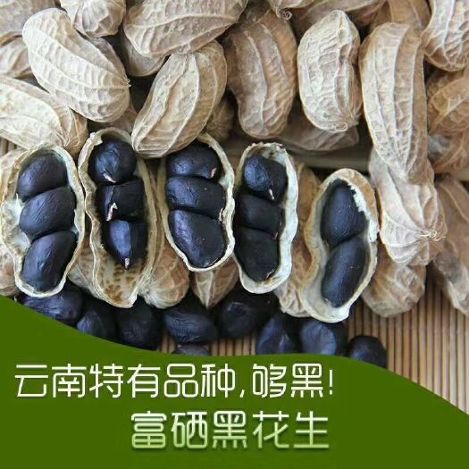 景东县云南小粒黑花生（甜型）