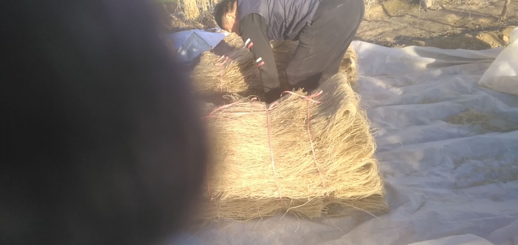  纯手工纯红薯粉条