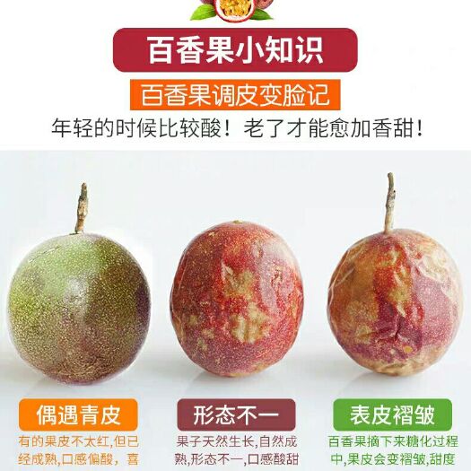 都匀市 百香果特级大果一级当季新鲜水果紫皮白x果整箱批发优惠