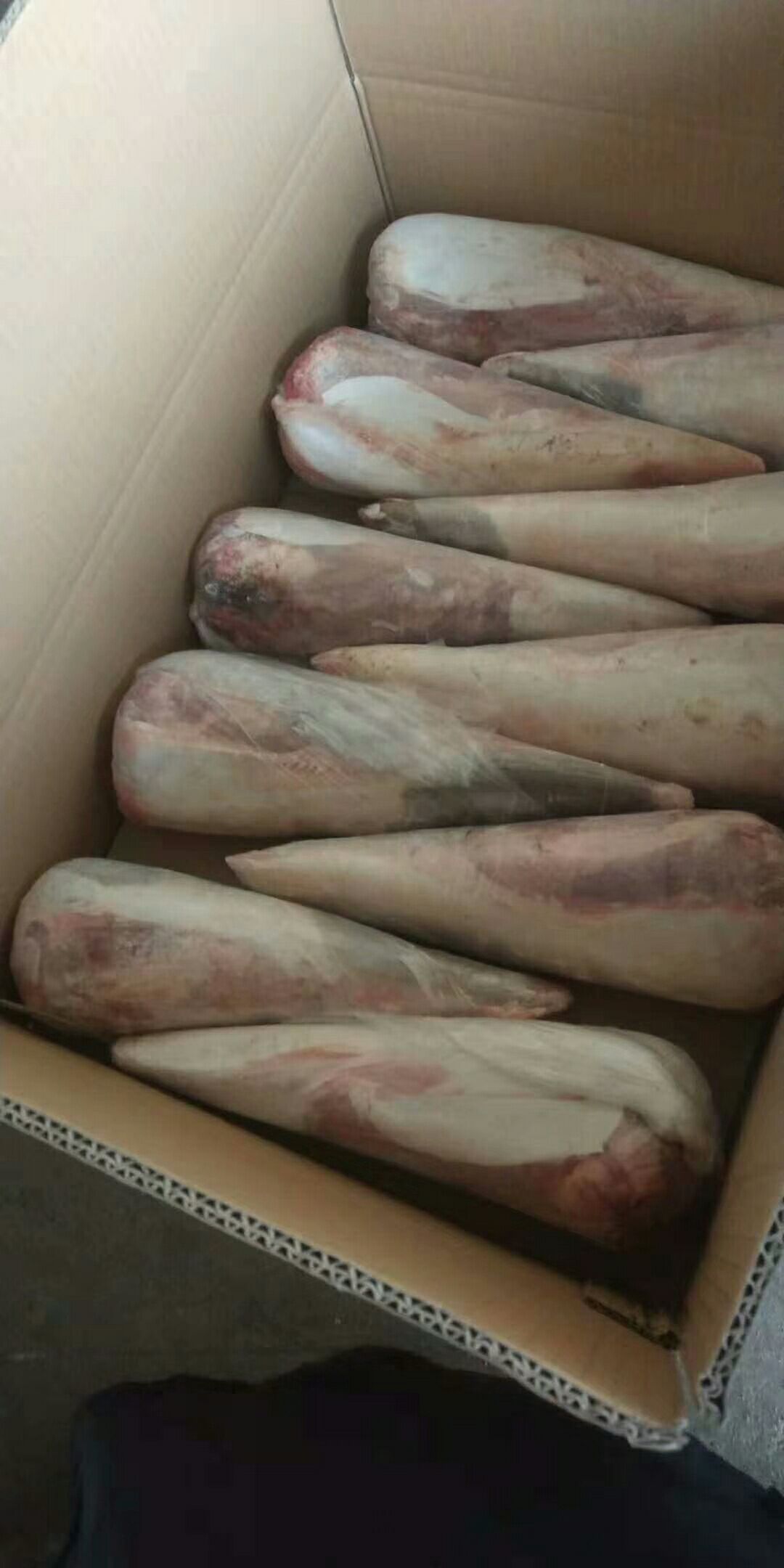 牛舌