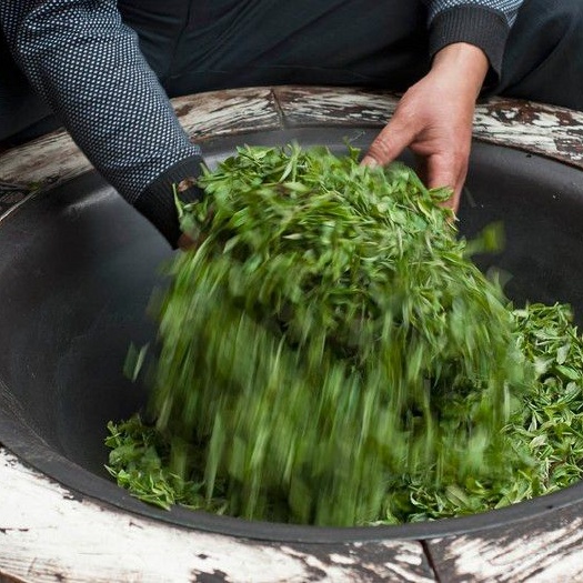 荥经县竹叶青茶 二级 袋装