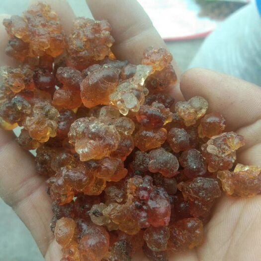 随县食用桃胶  红黄胶