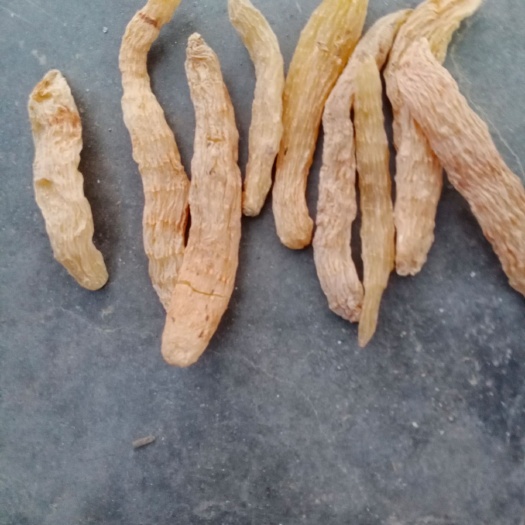 宁强县天然新鲜无硫特级小天麻500g干货，来自秦岭深山天