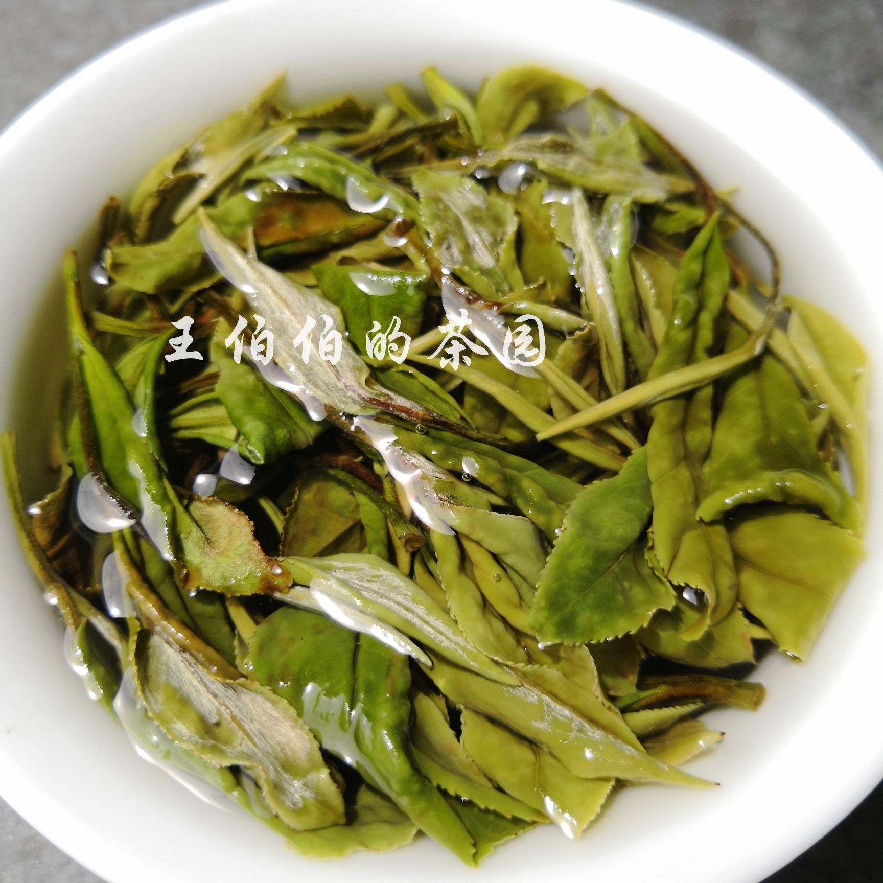 直销批发】花香福鼎白茶饼白牡丹寿眉贡眉白毫银针高山日晒水甜