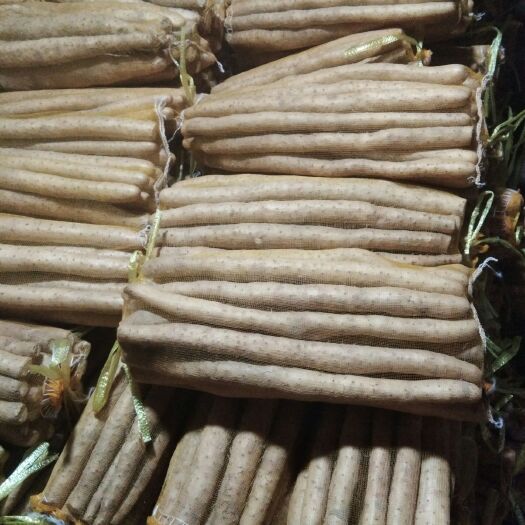 辛集市 大量供应优质白山药