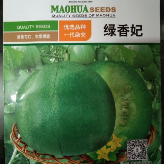 夏邑县绿宝石甜瓜种子 绿香妃 优选品种 清香可口肉质甜脆