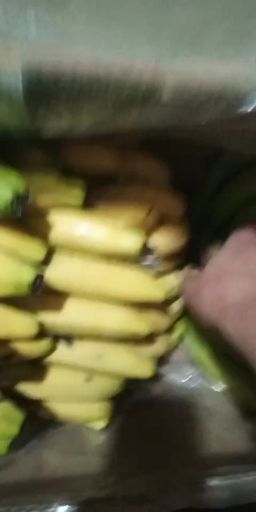  常年供应，微商，电商，批发商，四季精品香蕉。