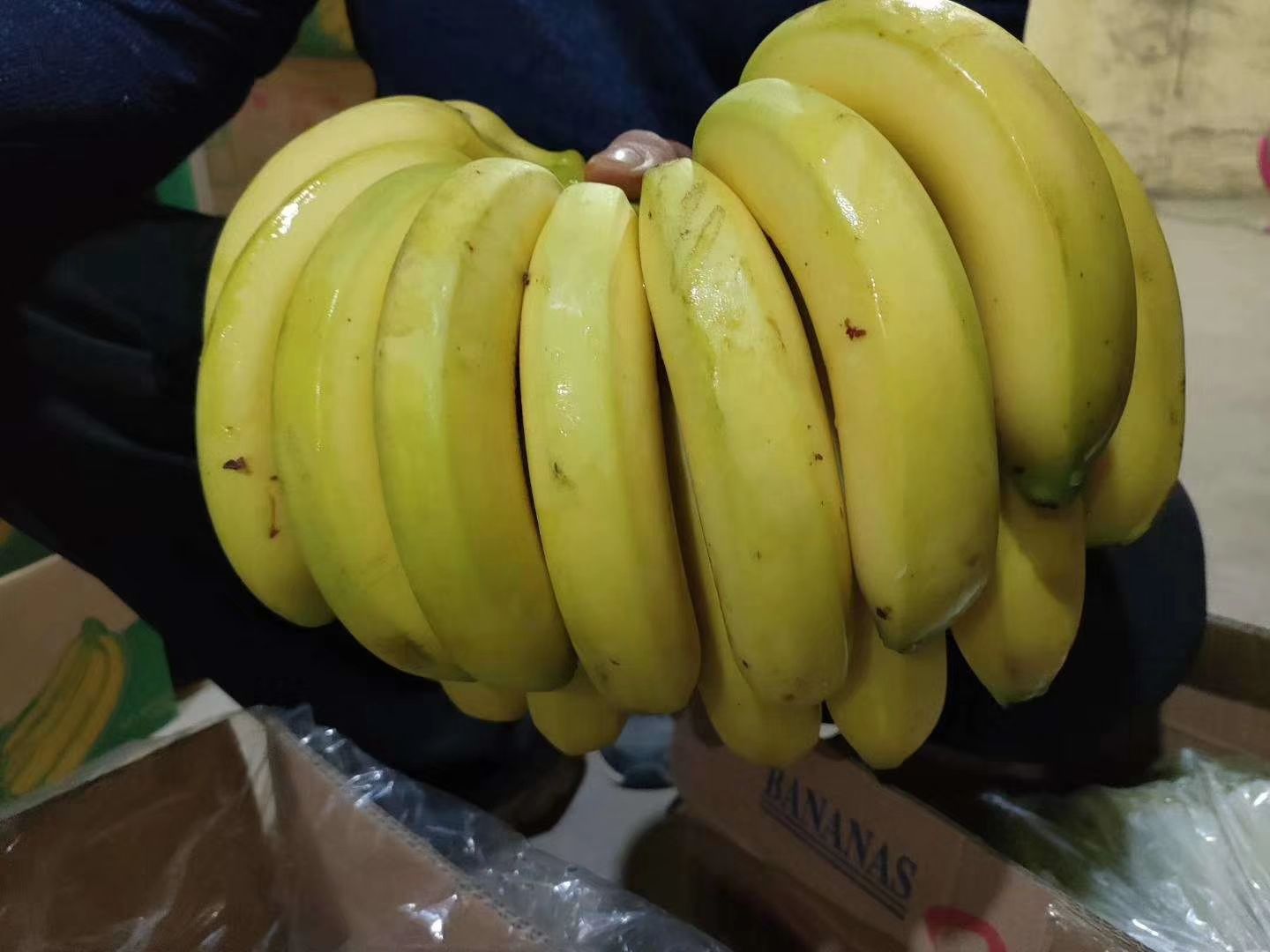  常年供应，微商，电商，批发商，四季精品香蕉。
