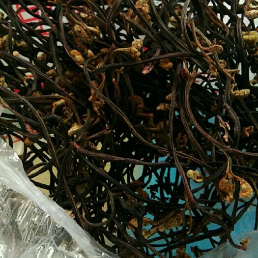 南召县蕨菜 河南省南阳市南召县 干货