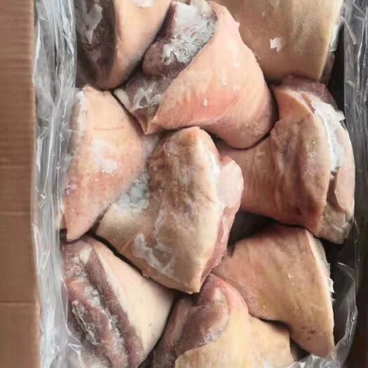 南京猪肘子，蹄髈20斤