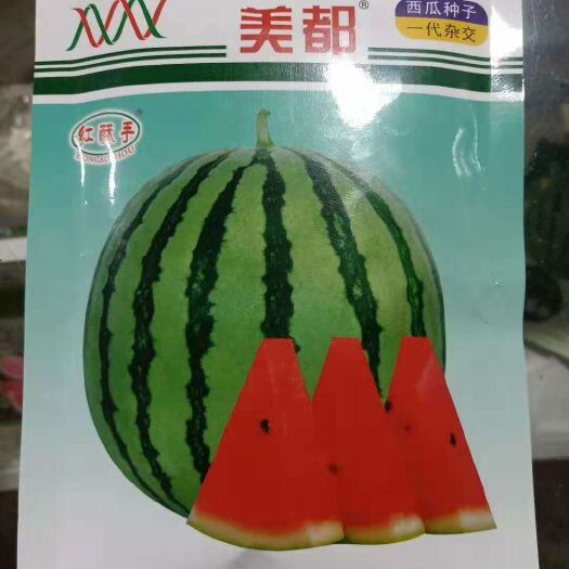 夏邑县美都西瓜种子 微萌红酥手正品美都种子2000粒