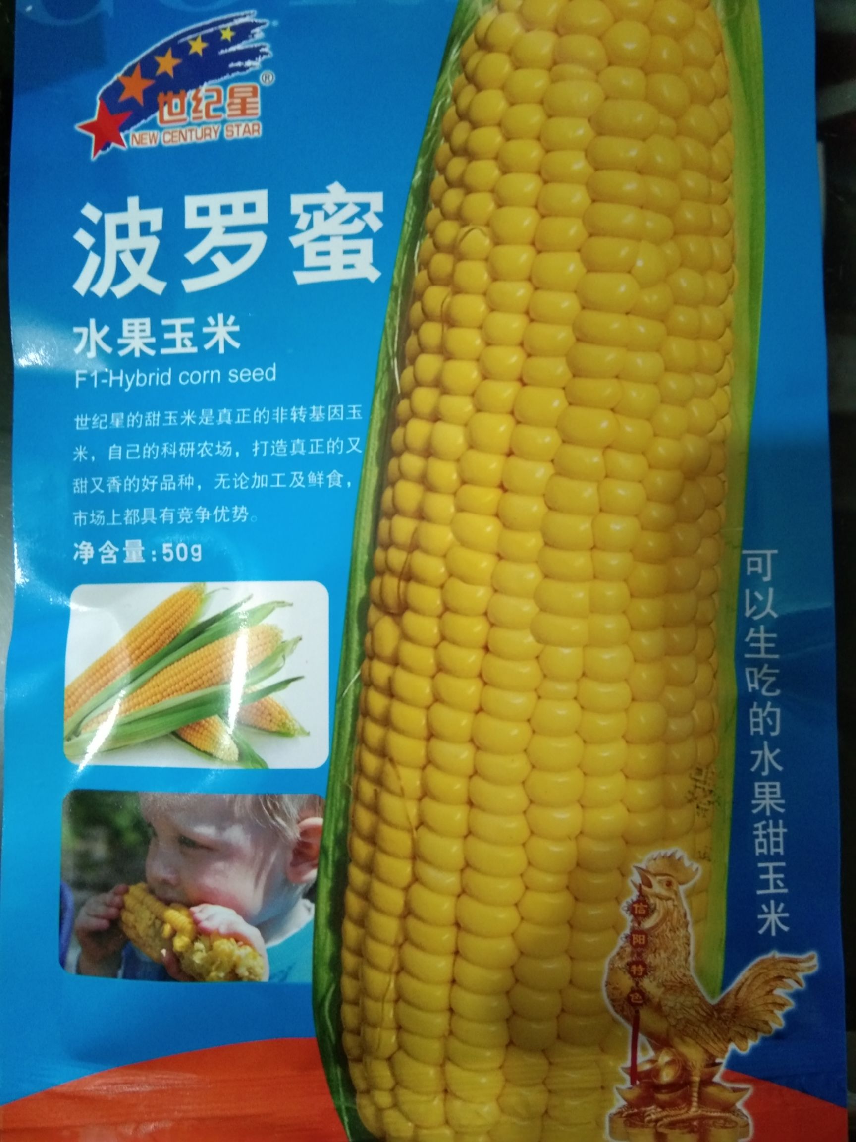  波罗蜜水果玉米种子 可以生吃的甜玉米饱满有光泽不秃顶