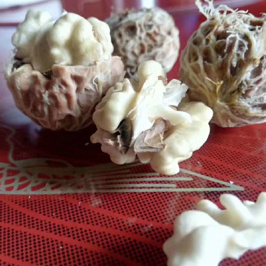 赫章县 乌蒙山纸皮核桃