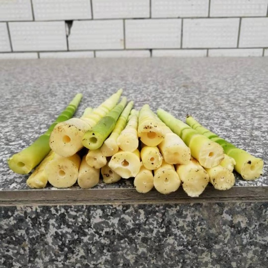 贵定县小竹笋 质量保证，