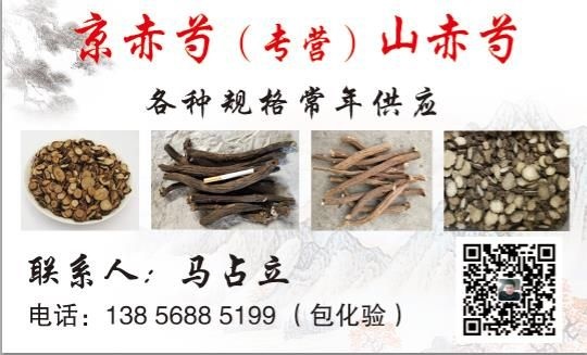 亳州草芍药 精品赤芍大全
