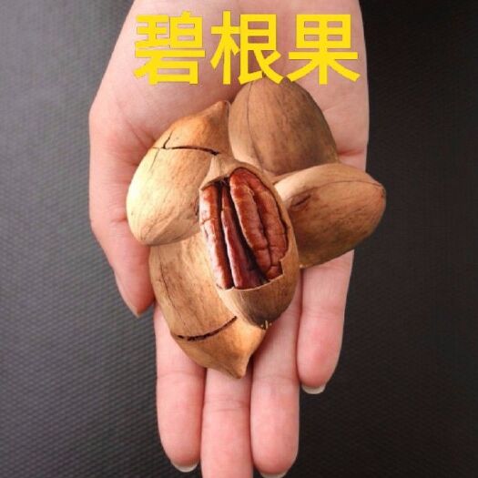 碧根果美国人称为长寿果酥脆香净重500克。