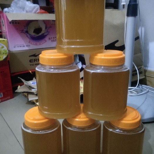 新兴县龙眼蜜 请问冬蜜可以嘛！价格相差不大，