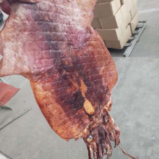  山東日照泡發(fā)魷魚(yú) 做泡發(fā)專用朝鮮貨印尼貨