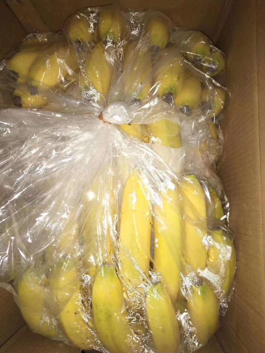  常年供应，微商，电商，批发商，四季精品香蕉。