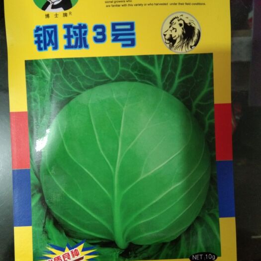 夏邑县绿甘蓝种子 钢球3号甘蓝种子(优质良种)