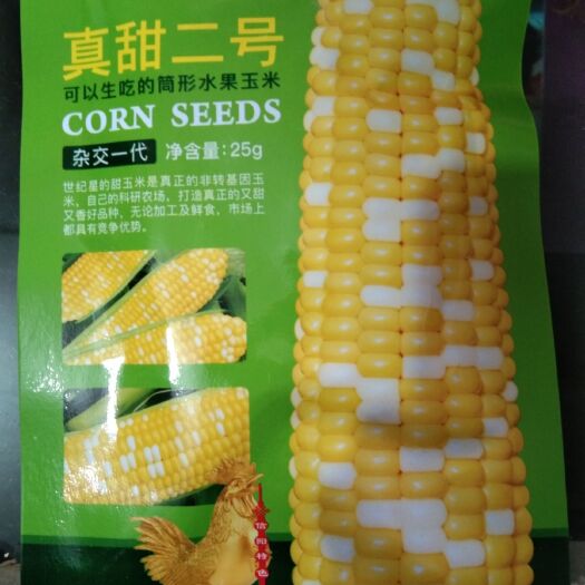 夏邑县水果玉米种子 真甜二号 真正的非转基因 打完真正的又甜又香好品种