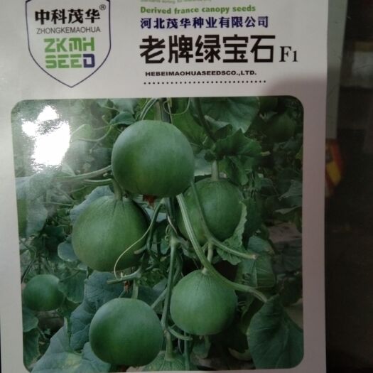 夏邑县 绿宝石 甜瓜种子