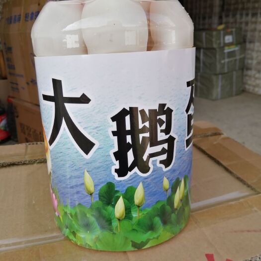 上蔡县大白皮16枚网红桶装鸭蛋