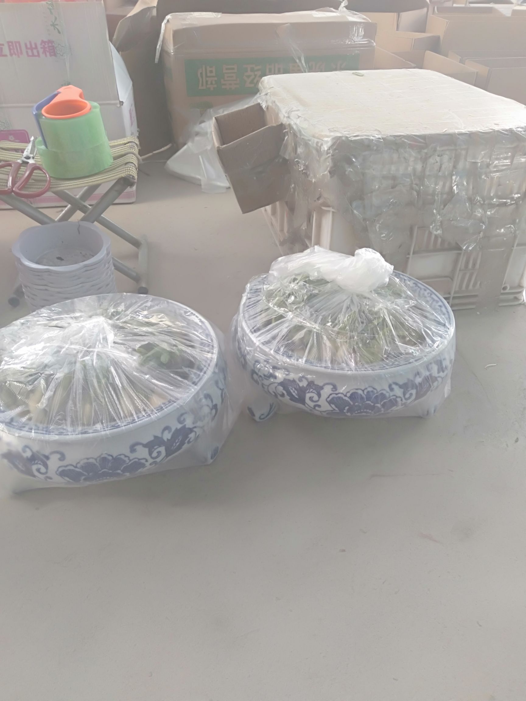 漳州水仙