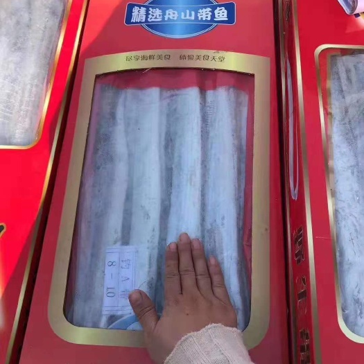 滨州冷冻带鱼 带鱼