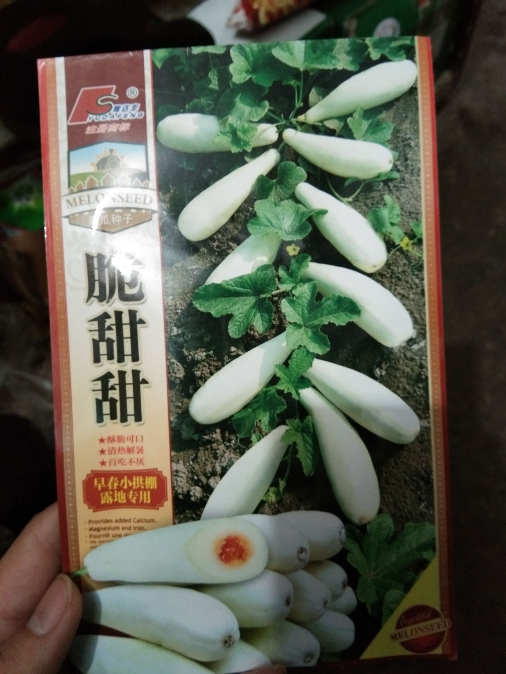  脆甜甜(甜瓜种子)早熟 抗病 香脆甜口感好 亩产万斤左右