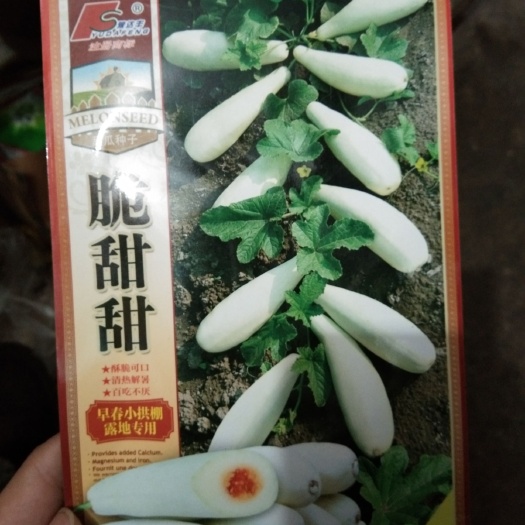 夏邑县 脆甜甜(甜瓜种子)早熟 抗病 香脆甜口感好 亩产万斤左右