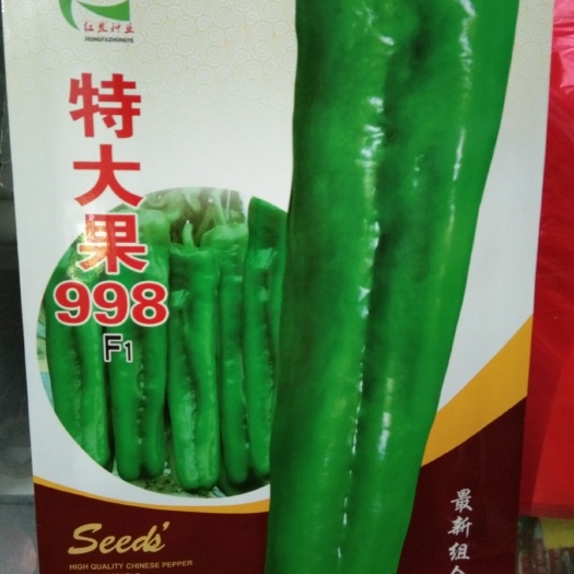 夏邑县牛角椒种子 特大果998 强大果 超越一切的品种  目前表现最好的品种