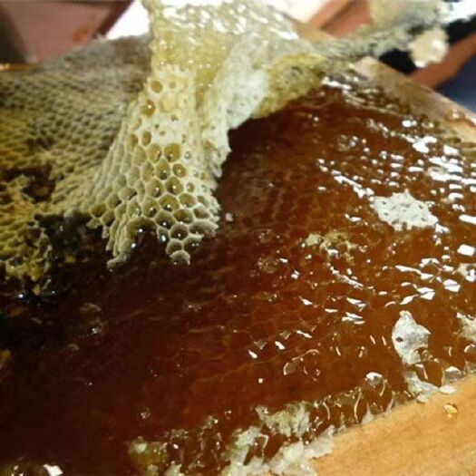 洋县 中蜂蜜为居家常备，馈赠亲友