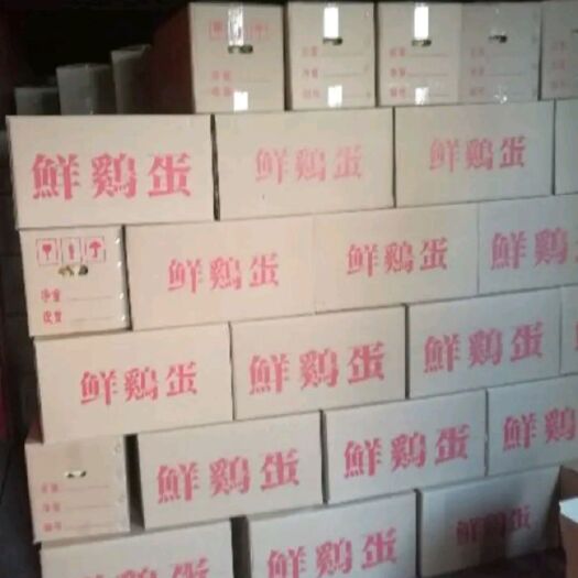 北京 长期供应360枚/箱鸡蛋，品质保证、货源充足可长期合作。