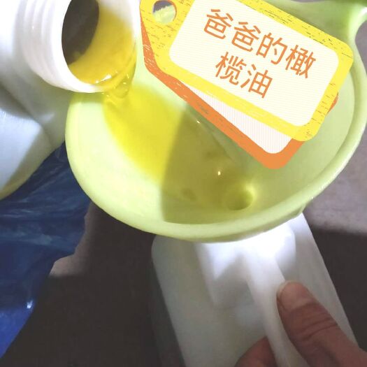 陇南 爸爸的橄榄油