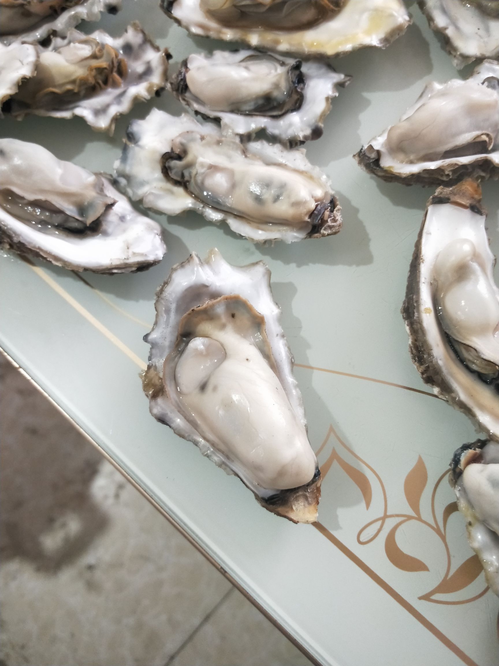 黄海日照牡蛎 海蛎子