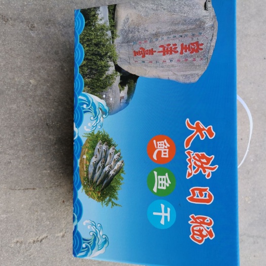 诏安县巴浪鱼干 纯巴浪鱼