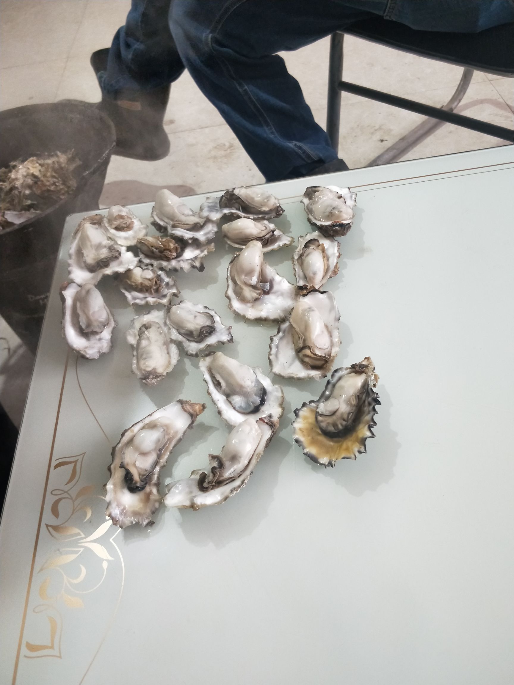 黄海日照牡蛎 海蛎子