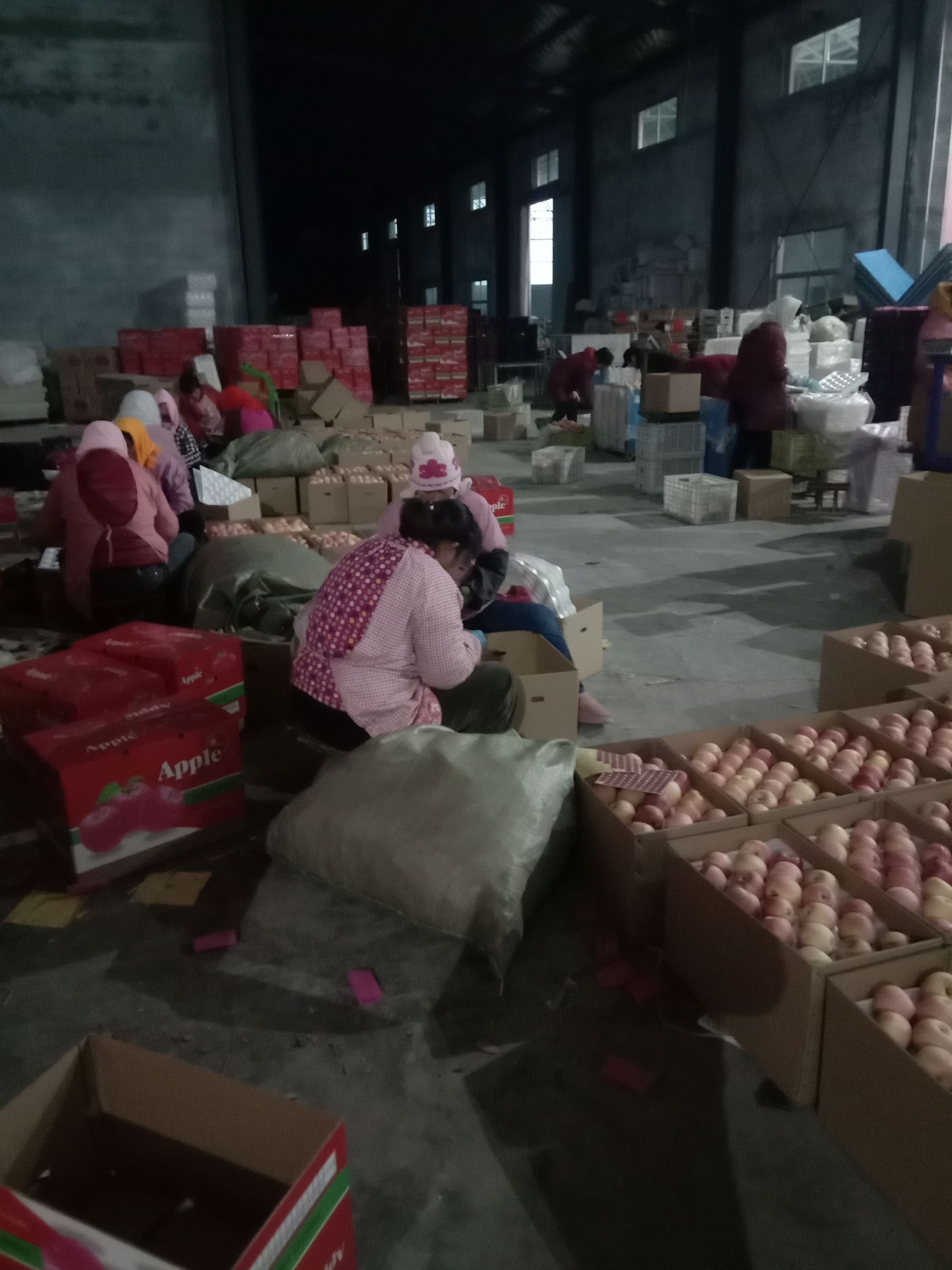 红富士苹果 山东平度红富士，表光好汁多皮薄，甘甜可口