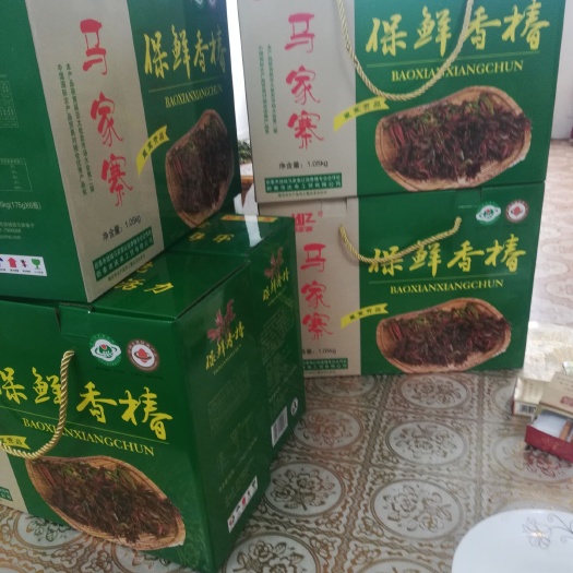 新泰市 香椿芽