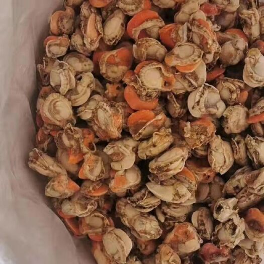 荣成市扇贝肉干 扇贝肉 精品