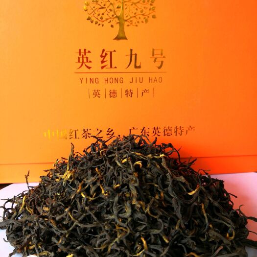 英德市有机红茶 英红九号秋茶优惠200元六罐包邮