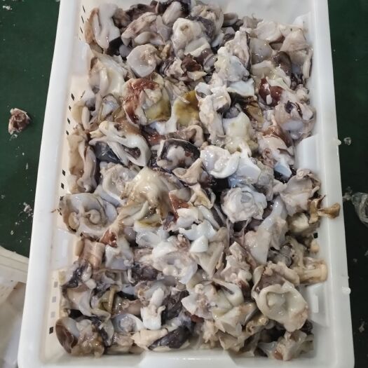 荣成市冷冻鱿鱼  鱿鱼脖 （去皮、带皮）