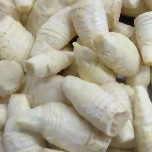 浏阳市冬笋肉