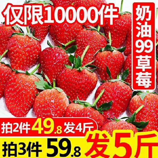 平武县红颜草莓 20克以上
