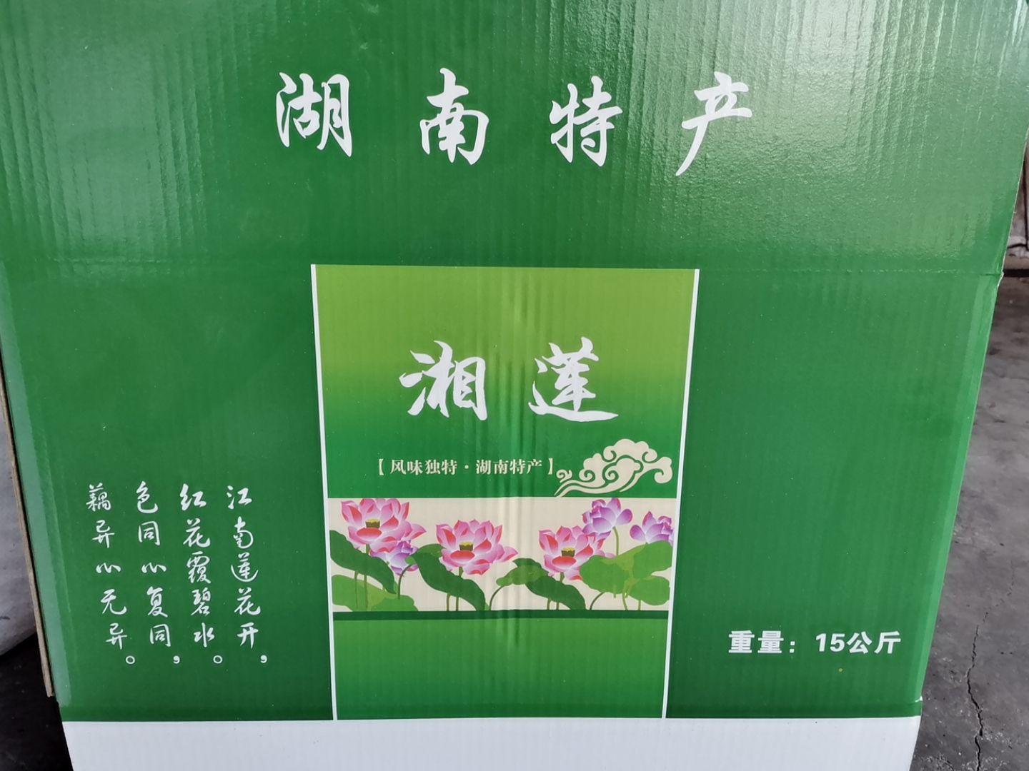 湖南大水泡白莲子 中粒 大粒 粒粒饱满 货真价实 厂家直销