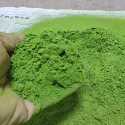 洋县豆腐柴干粉 豆腐柴干叶子粉  神豆腐粉