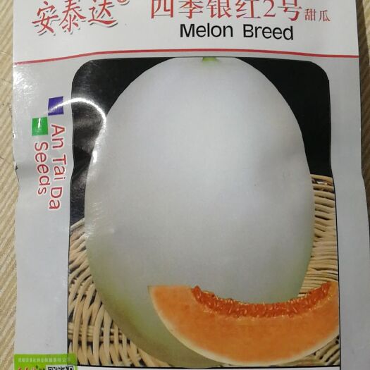 武汉白玉甜瓜种子 高档甜瓜
