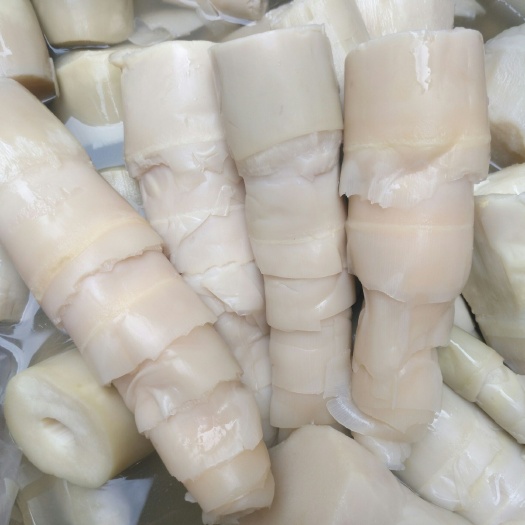 南宁酸笋 散装 6-12个月